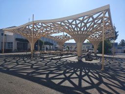 img_20260627_094959
